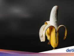 Seberapa Sering Pria Harus Keluarkan Sperma Untuk Seminggu?