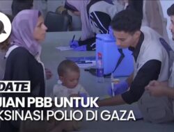 Sekjen Organisasi Internasional Puji Pencalonan Politik Proteksi Polio Di Gaza Pada Jeda Kemanusiaan