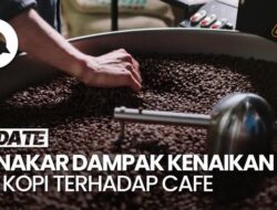 Pengusaha Kafe Belum Rasakan Dampak Fluktuasi Harga Biji Minuman Kafein