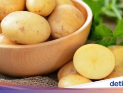 Apakah Makan Kentang Pada Asupan Minuman Efektif Turunkan Berat Badan?