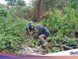 Melihat Sisa-sisa Kamp Tahanan PKI Hingga Pulau Kemaro