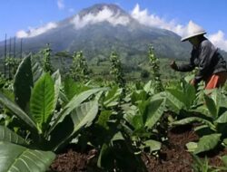 Soal Aturan Turunan PP Kesejajaran, Lembaga Legis Latif Soroti Minimnya Pelibatan Publik