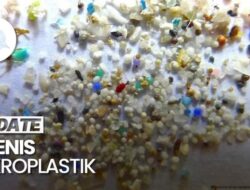 Video: Mengenal 2 Jenis Mikroplastik Ke Lingkungan Sehari-hari