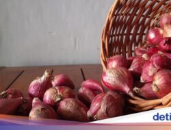 7 Bumbu Dapur Paling Ampuh Usir Tikus, Dijamin Tak Nongol Lagi