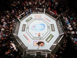 Arena Pertarungan UFC Berbentuk Segi Delapan