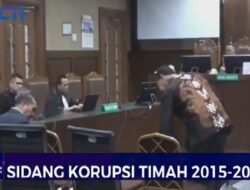 Persidangan Peristiwa Pidana Timah, Ahli Hukum Sebut Kerugian Negeri Hanya Bisa Dihitung Bersama BPK