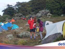 Pendakian Gunung Gede Pangrango Ditutup Sambil Itu