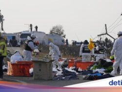 AS Bantu Investigasi Kecelakaan Pesawat Jeju Air