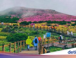 38 Turis Vietnam Hilang Di Pulau Jeju, Ada Dugaan Perdagangan Manusia
