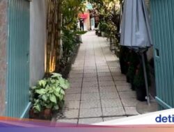 Merayakan Natal Di Menikmati Minuman Langsung Ke Vietnam