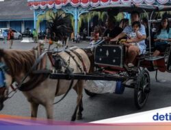 Misteri Delman Jalan Sendiri Tanpa Kusir Di Boyolali Akhirnya Terpecahkan