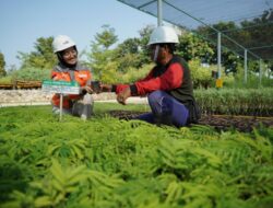 Semen Indonesia Catatkan 25% Top Talent Karyawan Perempuan