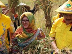 Tak Ada Trah Soeharto, Mbak Tutut Didorong Kembali Bergabung Ke Partai Golkar