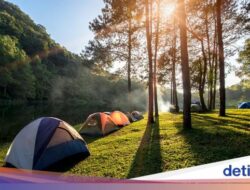 Wisatawan Cilik Tewas Tertimpa Pohon Pinus Ke Sekipan