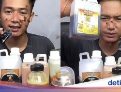 Jualan Live Madu Murni Penjual Ini Dikerumuni Lebah Hidup