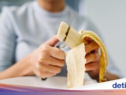 Kesenangan Makan Buah Sesudah Makan Nasi? Ini Efeknya Sebagai Tubuh