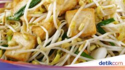 3 Resep Tumis Tauge yang Murah Segar dan Kaya Hidangan Bergizi