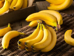 5 Tips Memilih Pisang yang Matang Sempurna, Jangan Salah Lihat Warna Kulitnya!