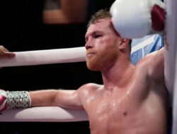 Asal-usul Julukan Canelo Di Untuk Nama Saul Alvarez, Ternyata Ini Maknanya