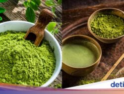 Daun Kelor Vs Matcha, Mana yang Lebih Sehat?