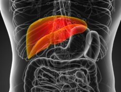 7 Konsumsi Sehari-hari Bagus Sebagai Kesejaganan Liver, Termasuk Minuman