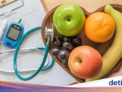 Catat! 5 Makanan Sehat Untuk Turunkan Kadar Kolesterol Di Tubuh