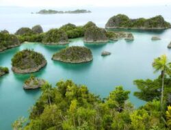 5 Penguasa Tambang Nikel Hingga Raja Ampat, Ada Konglomerat China, BUMN hingga Perusahaan Hantu
