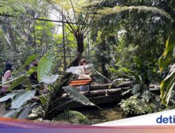 Rekomendasi Wisata Ramah Anak Hingga Bogor, Animalium Science Center