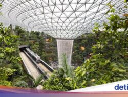 Lakukan Pencurian Hingga Bandara Changi, 2 Turis India Ditangkap