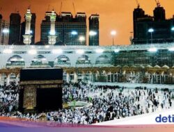 Visa Furoda Tak Terbit, Komnas Haji Minta Jemaah Tidak Salahkan Pemerintah