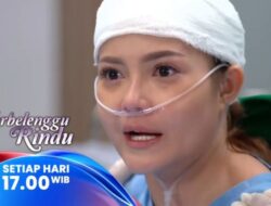 Vernie Bebas Di Jeratan Hukum?
