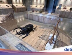 Animalium, Wisata Edukatif Seru Hingga Bogor Untuk Libur Sekolah