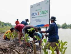 BRI Libatkan Petani Lokal dan Usaha Kecil Menengah Rehabilitasi Mangrove Hingga Muara Gembong