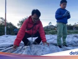 Dieng Membeku, Wisatawan Bikin Minuman Di Embun Es