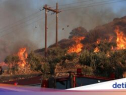 Yunani Dilalap Api, Separuh Pulau Nyaris Hangus Terbakar