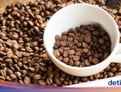 5 Keistimewaan Minuman Geisha, Langganan Nebeng Hingga Trophy Dunia!