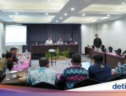 Ini Teluk Saleh, Lokasi Konservasi Hiu Paus