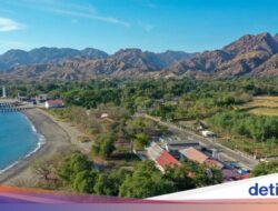 Wini Untuk Tiga Irama: Tenun, Tari, dan Kuda Pacu