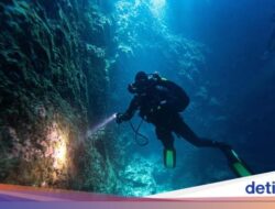 Kisah Penyelam 5 Hari Bertahan Hidup Ke Gua Bawah Air, Ia Makan Ikan Mentah
