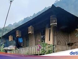 Trekking Ke Cisadon, Hidden Gem Didekat Jakarta Pas buat Usir Penat
