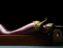 Viral Black Mamba Di Medsos, dr Boyke Beri Catatan Do’s and Dont’s Pakai Dildo