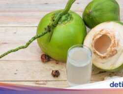 Suka Minum Air Kelapa? 6 Kelompok Ini Justru Harus Batasi Konsumsinya