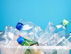 Studi Mutakhir Ungkap Risiko Kesejaganan Bahan Kimia Plastik Bagi Anak-anak