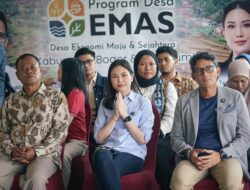 Usaha Mikro Kecil Hadapi Tantangan Klasik, Desa EMAS Bakal Dari Sebab Itu Solusi