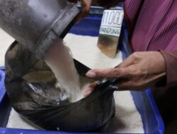 Harga Beras Naik 5,8% per September 2025, Intip Rinciannya