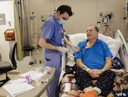 Pria AS Hidup Didalam Ginjal Babi Di 271 Hari, Endingnya Cuci Darah Lagi