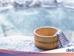 Serangan Beruang Makin Marak, Jepang Bakal Pagari Onsen Outdoor