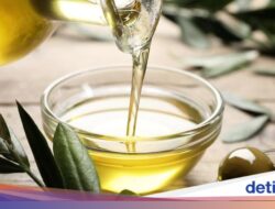 Nggak Semua Kolesterol Jahat! 5 Minuman Ini Bisa Tingkatkan Kolesterol Baik