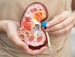 6 Sayuran yang Tak Baik Bagi Pengidap Gangguan Ginjal, Sebaiknya Dibatasi Konsumsinya