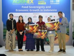 Perluas Pasar, Potensi Besar Naik Kelas